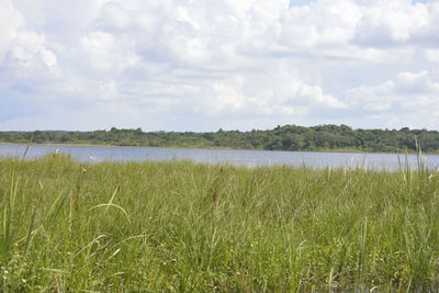 Scenic view of field against sky