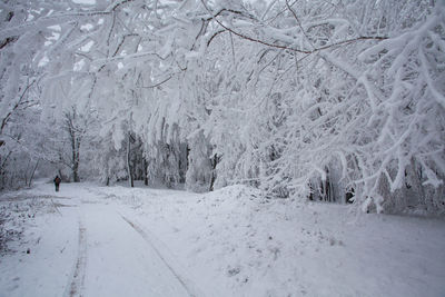Scenic view of snow covered land