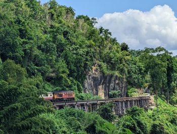 Bridge over river amidst trees against sky