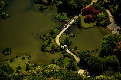 High angle view of trees by lake