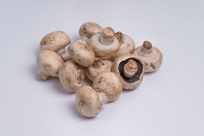 High angle view of mushrooms against white background