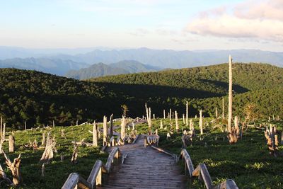 Wooden posts amidst plants and mountains against sky