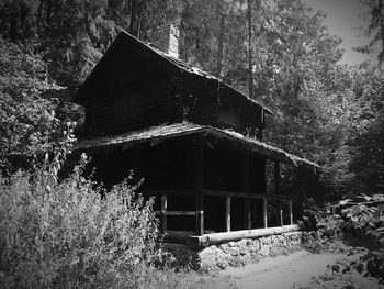 Building with trees in background