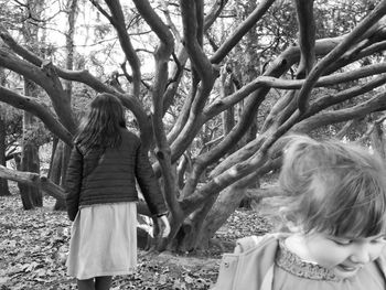 Rear view of siblings standing on tree