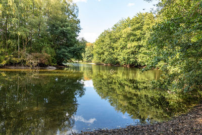 Scenic view of lake in forest against sky