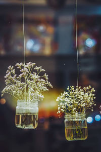 Flower vases hanging outdoors