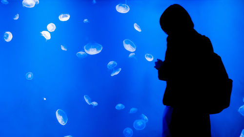 Silhouette mid adult man standing in aquarium
