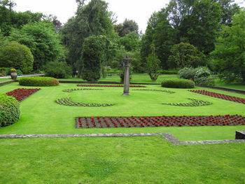 Trees in park