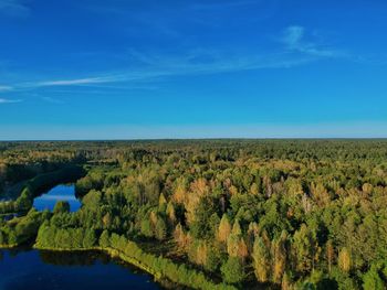 Scenic view of landscape against blue sky