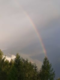 Low angle view of rainbow against sky