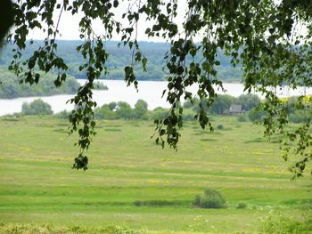 Scenic view of field against sky