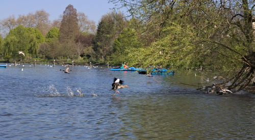 Scenic view of river by trees against sky