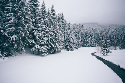 Snow covered trees on field against sky