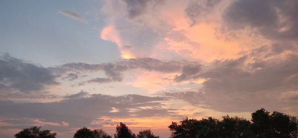Low angle view of silhouette trees against dramatic sky