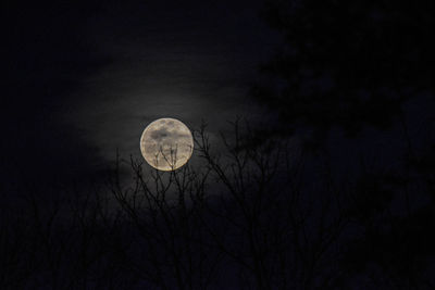 Low angle view of moon against sky at night