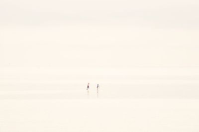 Scenic view of calm sea