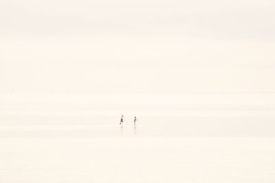 Couple paddleboarding in sea during fog