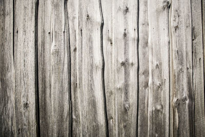 Full frame shot of wooden fence