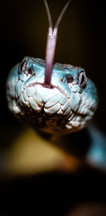 Close-up of drink on table