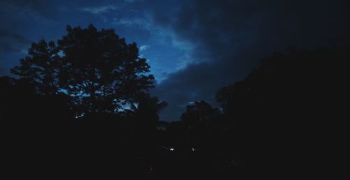 Silhouette trees against sky at night