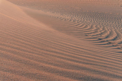 Full frame shot of sand dune