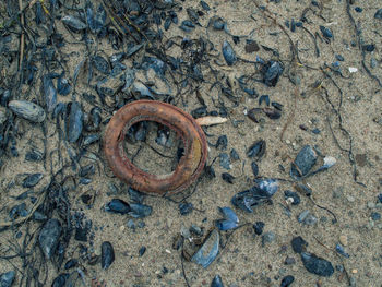 Close-up of rusty on sand