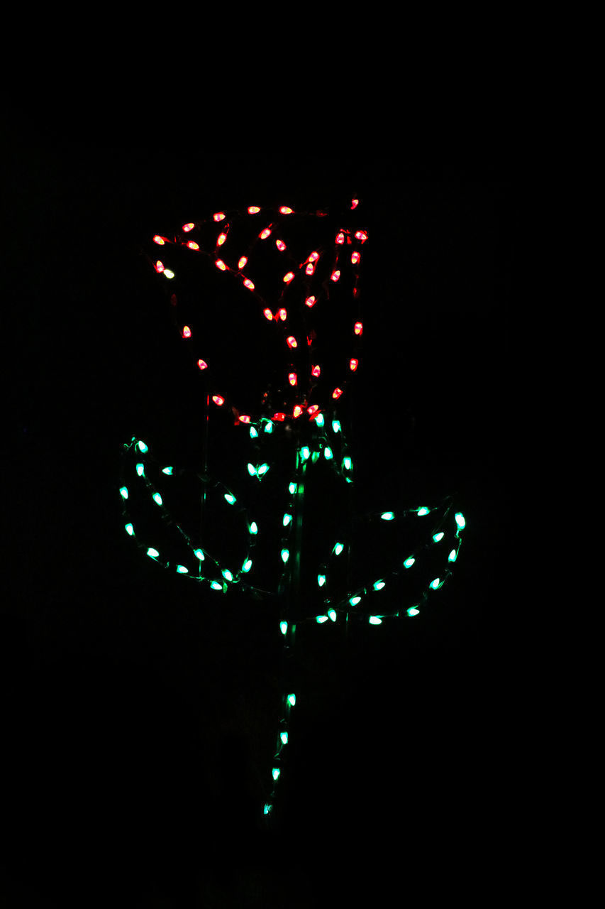 CLOSE-UP OF ILLUMINATED LIGHT AGAINST BLACK BACKGROUND