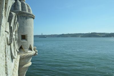 Reflection of trees in water