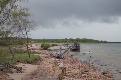 Scenic view of beach against sky