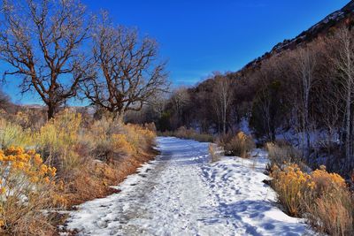 Winter snow mountain hiking trail views yellow fork park rose canyon copper mine salt lake city utah