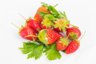 High angle view of strawberries on plate against white background