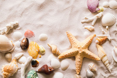 High angle view of seashells on sand