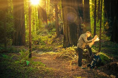 Side view of man reading map in forest