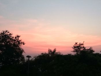 Silhouette trees against sky during sunset