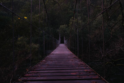 Wooden footbridge along trees in forest