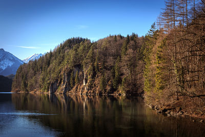 Scenic view of lake in forest against sky