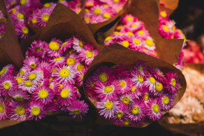 Close-up of flowers for sale