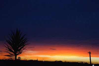 Silhouette trees against sky at night