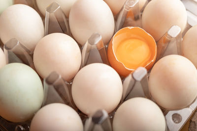 High angle view of eggs in container