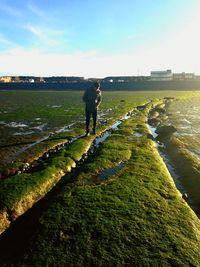 Scenic view of grassy field against sky