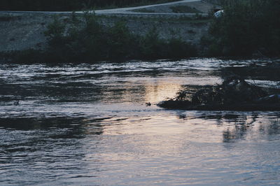 Scenic view of river