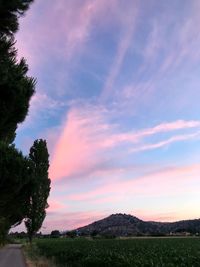 Scenic view of field against sky during sunset