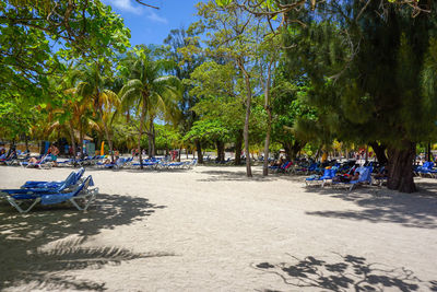 Trees on beach against sky