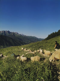 Scenic view of field against clear blue sky