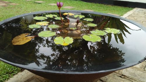 High angle view of potted plants in lake