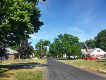 Empty road along trees