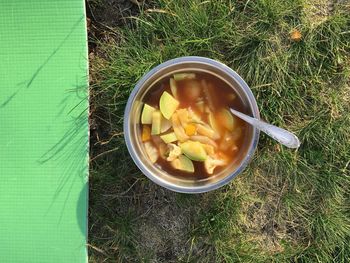 High angle view of fruits in bowl