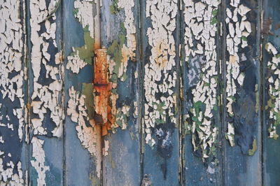 Full frame shot of old wooden door