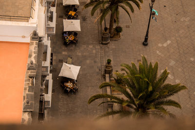 High angle view of palm trees by street in city