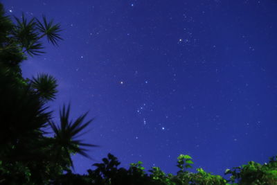 Low angle view of silhouette trees against blue sky